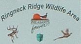 Ringneck Ridge